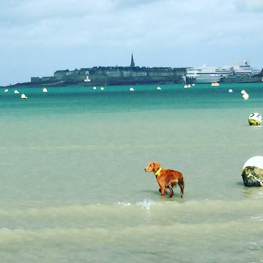 Haute Guais Dinard Exteriér fotografie